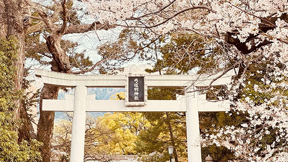 春の画像1