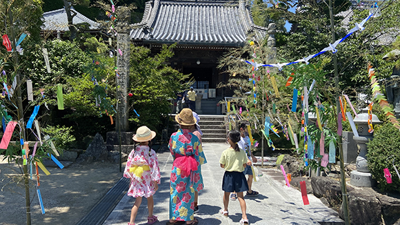 夏の画像1