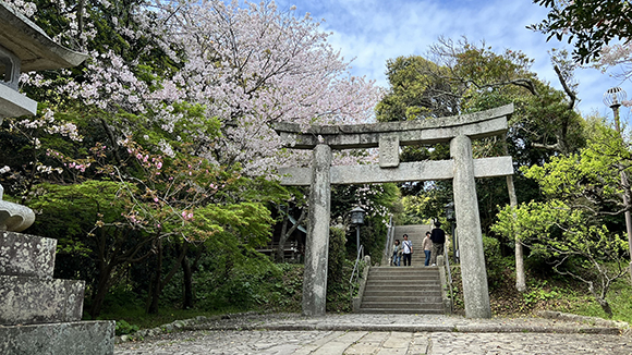 春の画像1