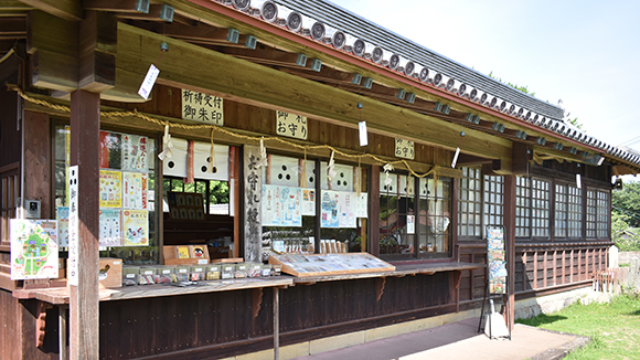夏の画像1