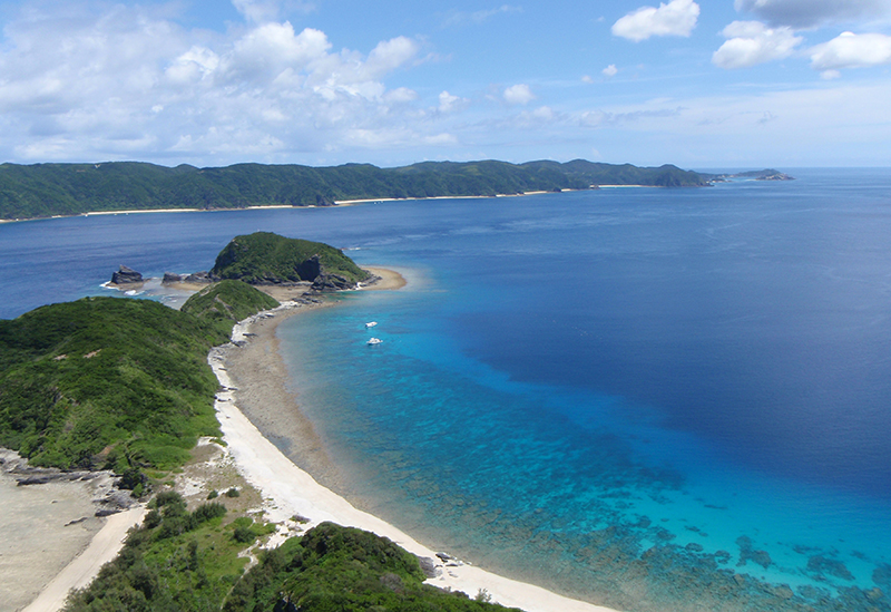 COCO OCEAN