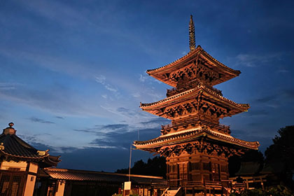 冬の画像2