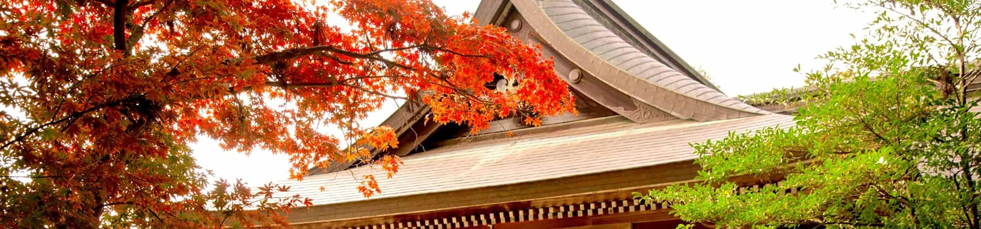 物部神社