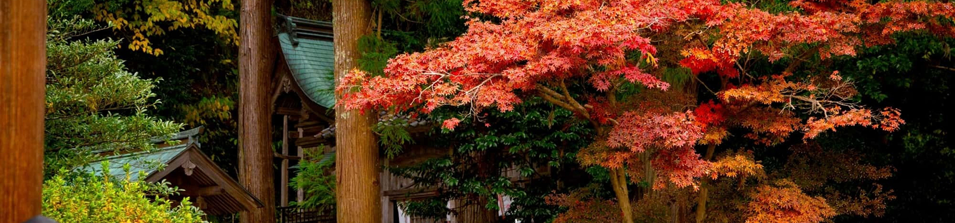 物部神社