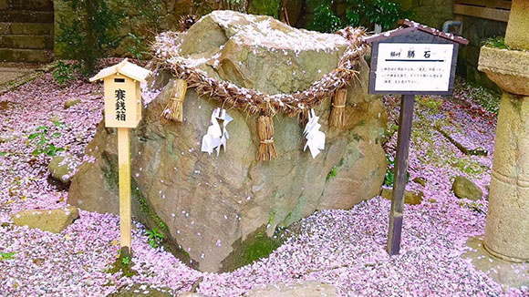 春の画像1