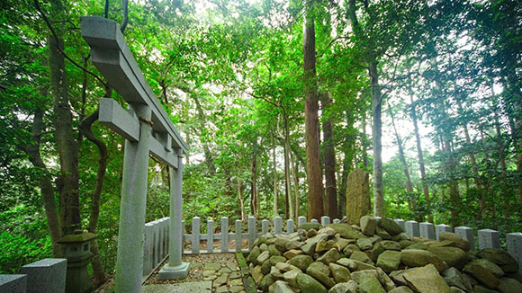 夏の画像1