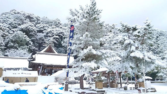 冬の画像1