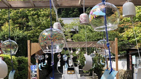夏の画像1