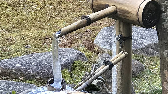 冬の画像1