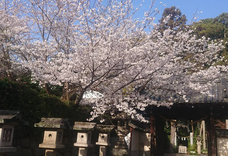 郡山八幡神社