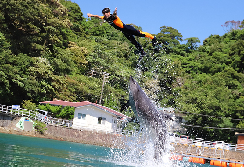 下田海中水族館