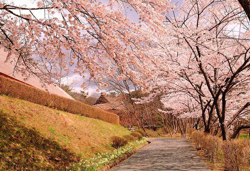 花巻・北上・遠野