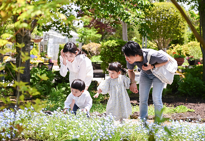 ハーブ庭園旅日記 富士河口湖庭園