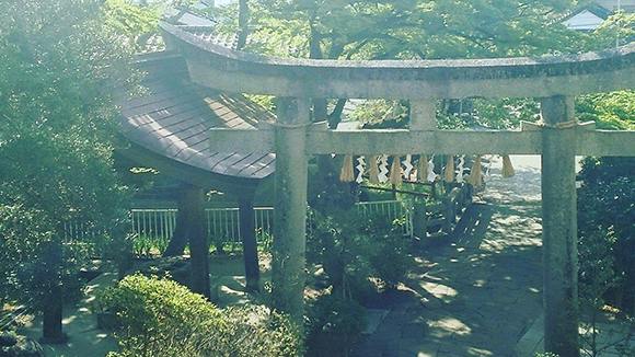 夏の画像1