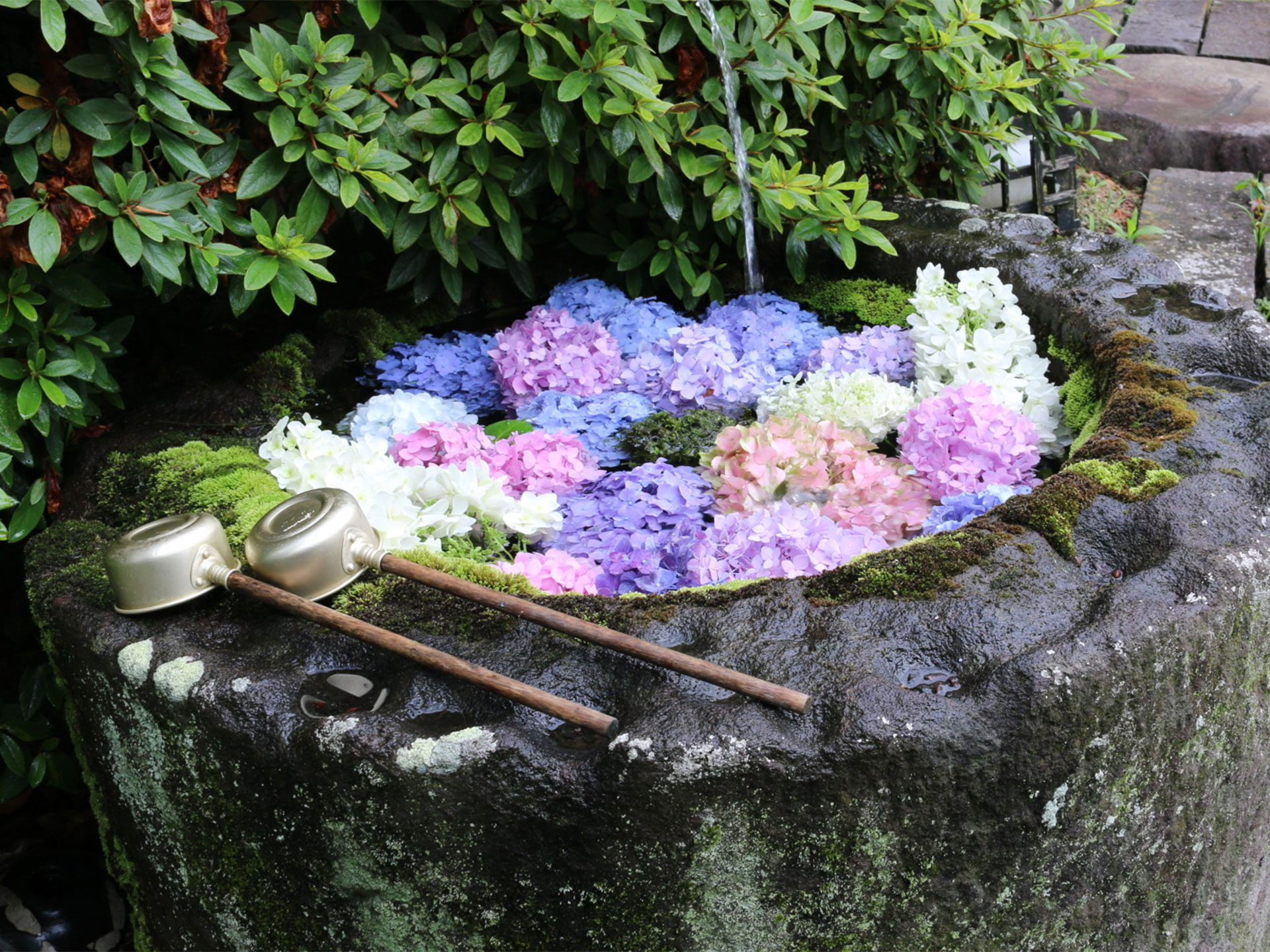 密嚴山 誕生院