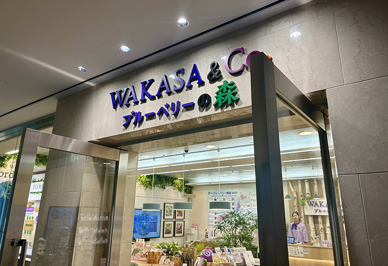 WAKASA&Co. 京都四条店