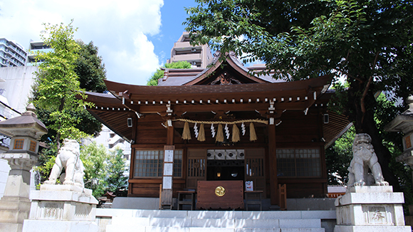 夏の画像1