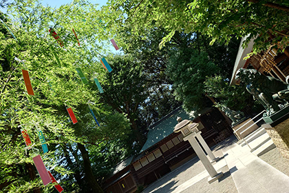 夏の画像2