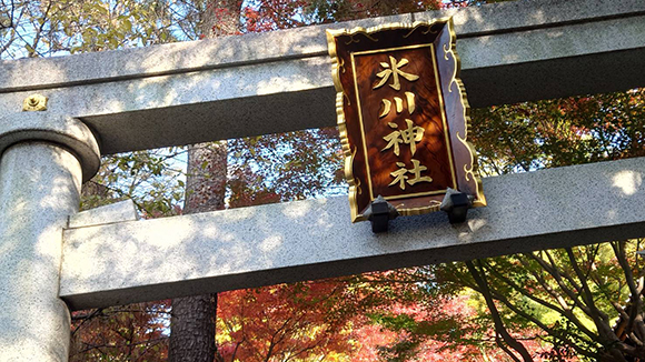 秋の画像1