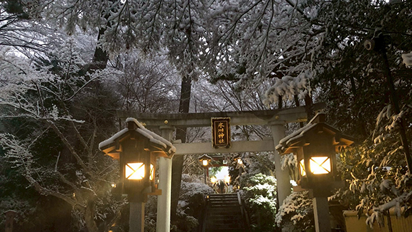 冬の画像1
