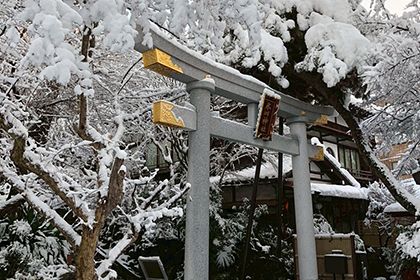 冬の画像2