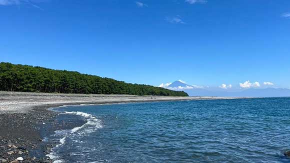 夏の画像1