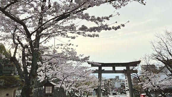 春の画像1