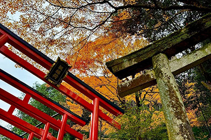 秋の画像2