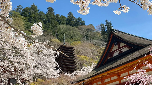 春の画像1