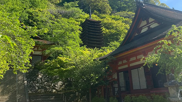 夏の画像1