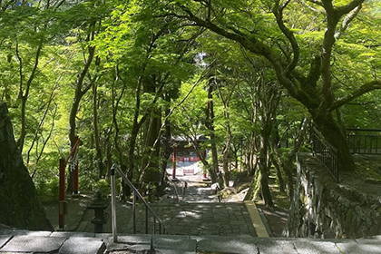 夏の画像2