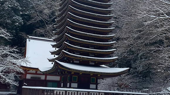 冬の画像1