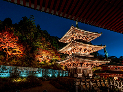 壺阪寺