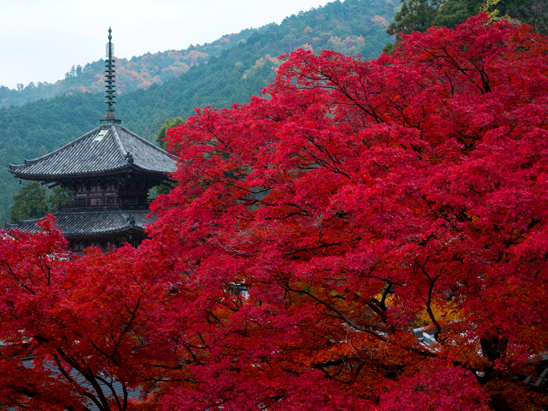 壺阪寺