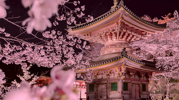 春の画像1