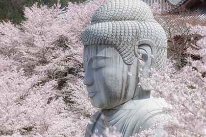 春の画像2