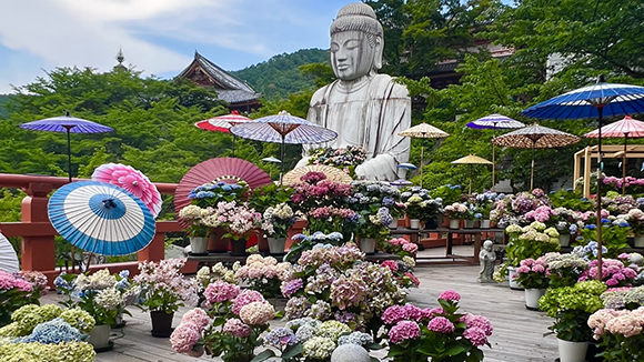 夏の画像1
