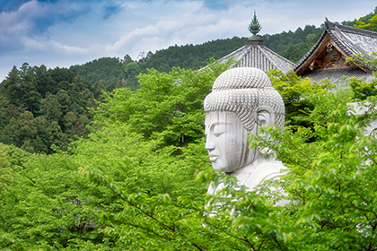 夏の画像2
