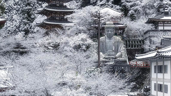 冬の画像1