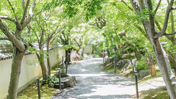 夏の画像1