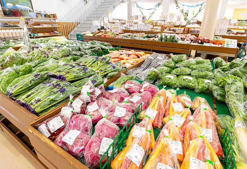 道の駅 おおがた