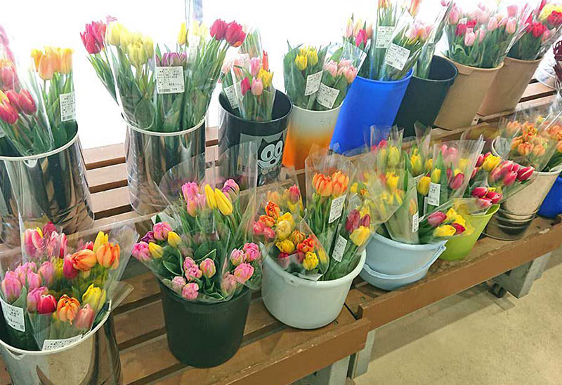 道の駅 おおがた