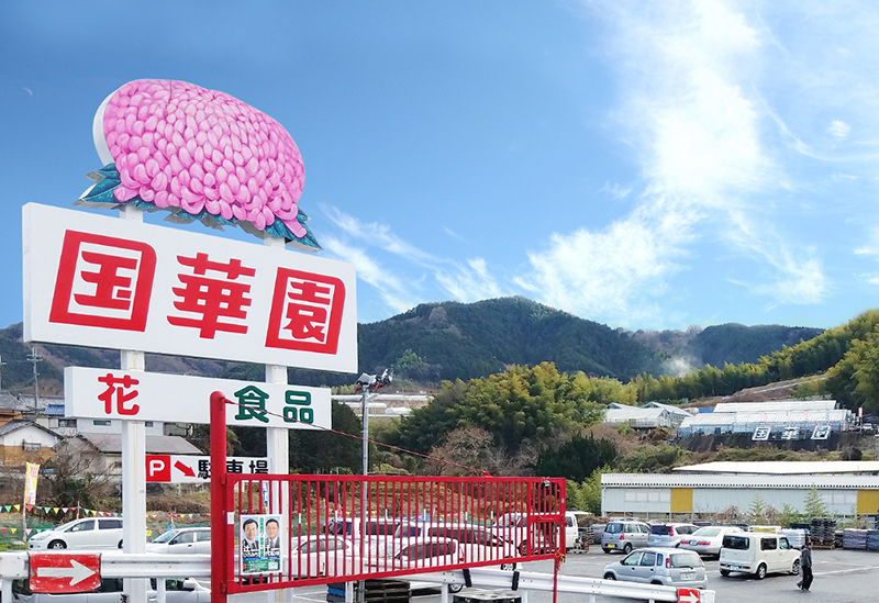 国華園 和泉本店