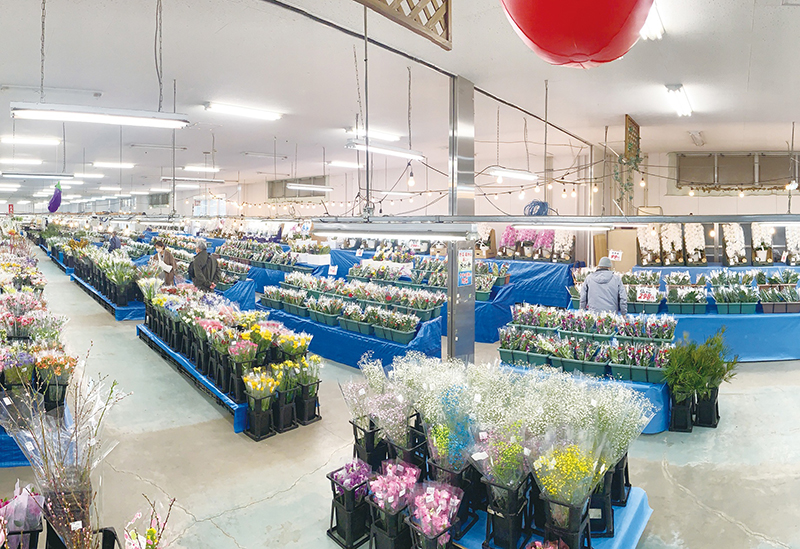 国華園 和泉本店