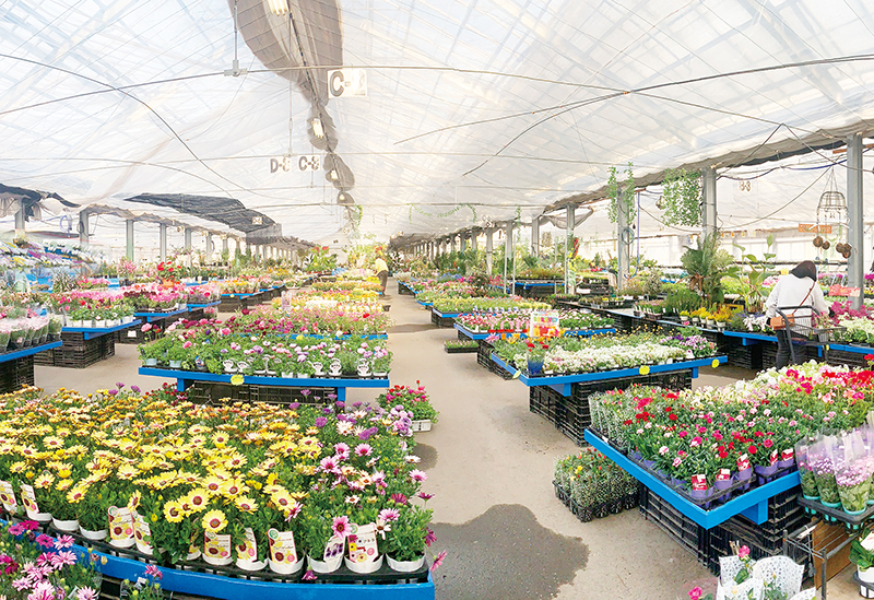 国華園 二色の浜店