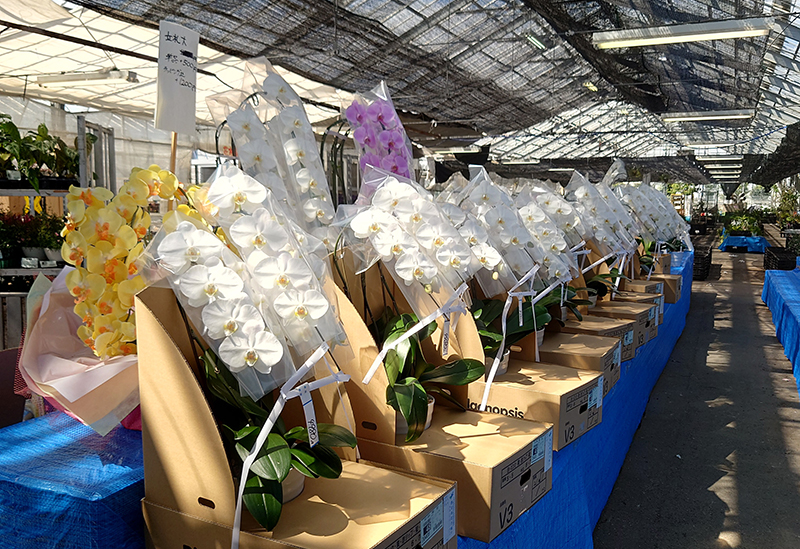 国華園 二色の浜店