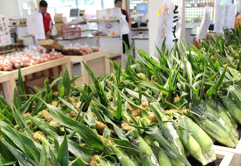 道の駅 尾瀬かたしな