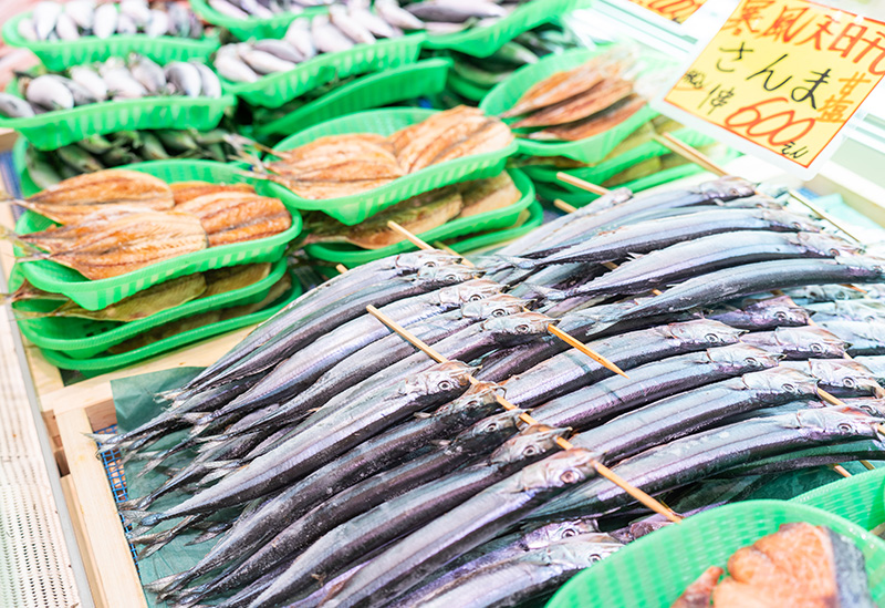 一色さかな広場