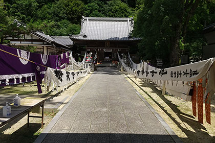 夏の画像2