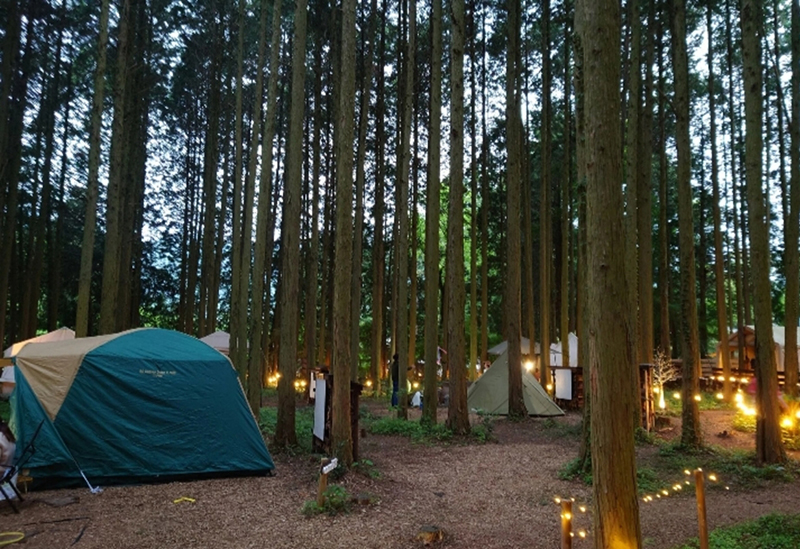 南阿蘇 STAY HAPPY